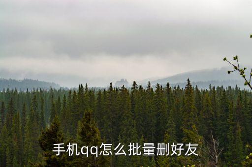 手機qq怎么批量刪好友