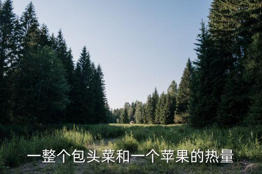 一整個包頭菜和一個蘋果的熱量