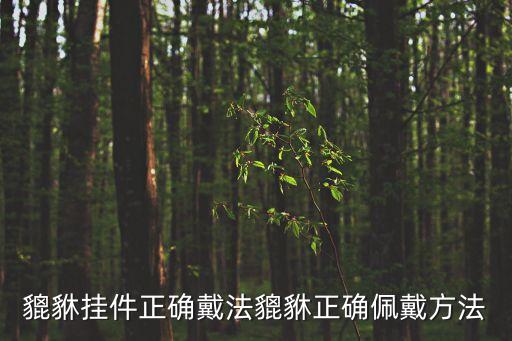 貔貅掛件正確戴法貔貅正確佩戴方法