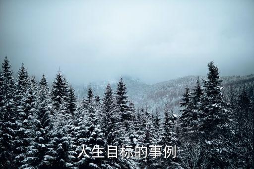 關(guān)于目標(biāo)的小故事，請問關(guān)于目標(biāo)的經(jīng)典感人的故事有哪些