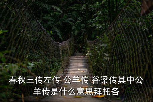 春秋三傳左傳 公羊傳 谷梁傳其中公羊傳是什么意思拜托各