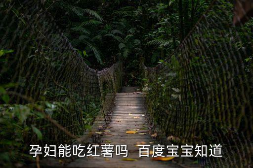 孕婦能吃紅薯嗎  百度寶寶知道