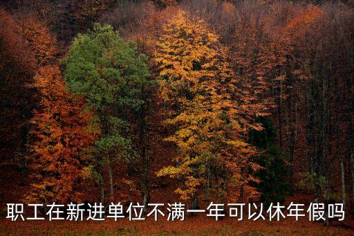 職工在新進單位不滿一年可以休年假嗎