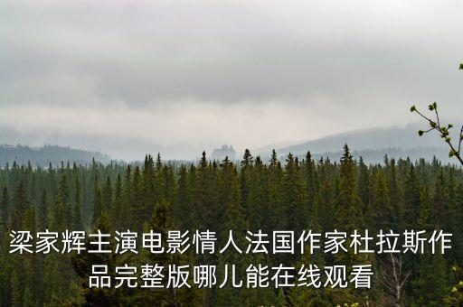 梁家輝主演電影情人法國作家杜拉斯作品完整版哪兒能在線觀看