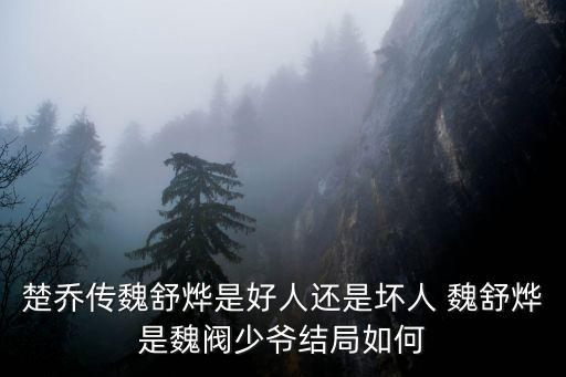 楚喬傳魏舒燁是好人還是壞人 魏舒燁是魏閥少爺結局如何