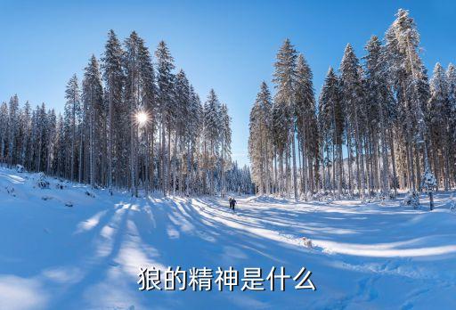狼的精神是什么