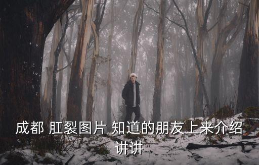 成都 肛裂圖片 知道的朋友上來介紹講講