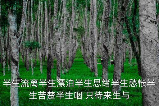 半生流離半生漂泊半生思緒半生愁悵半生苦楚半生咽 只待來生與