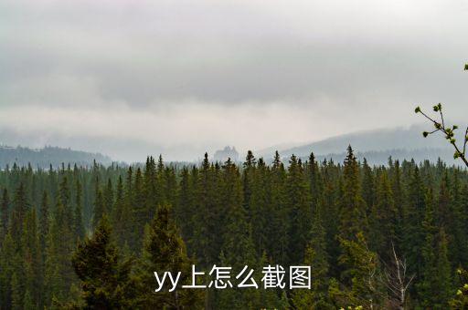 yy上怎么截圖