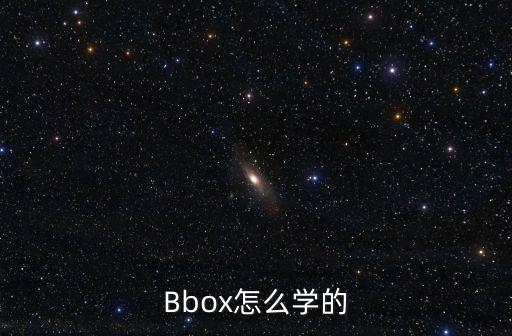 Bbox怎么學的