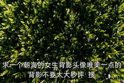 求一個朝海的女生背影頭像唯美一點的背影不要太大秒評  搜