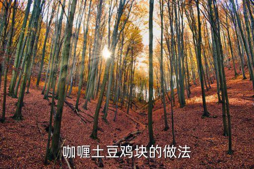咖喱雞肉土豆，咖喱雞肉土豆怎么做