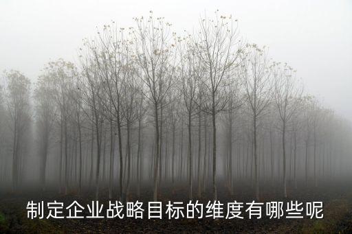 制定企業戰略目標的維度有哪些呢