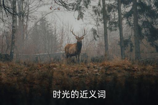 時光的近義詞，時光的近義詞