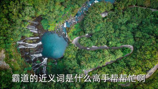 霸道的近義詞是什么高手幫幫忙啊