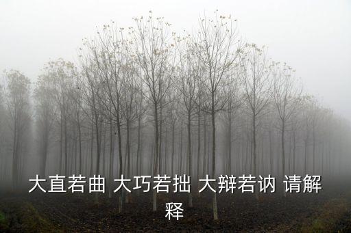 大直若曲 大巧若拙 大辯若訥 請(qǐng)解釋