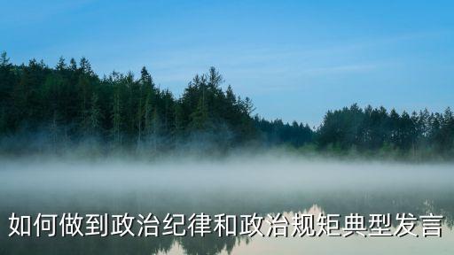 如何做到政治紀律和政治規矩典型發言