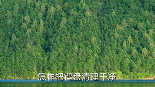 怎樣把鍵盤清理干凈