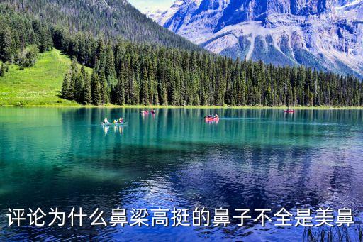 評論為什么鼻梁高挺的鼻子不全是美鼻