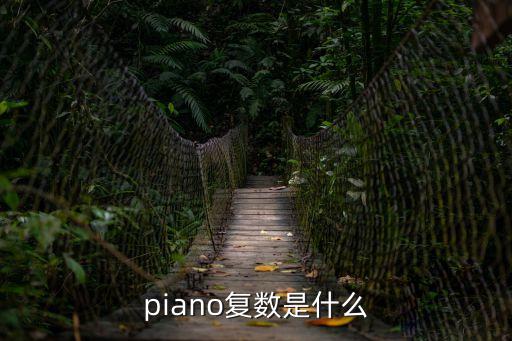 piano的復(fù)數(shù)，piano復(fù)數(shù)是什么