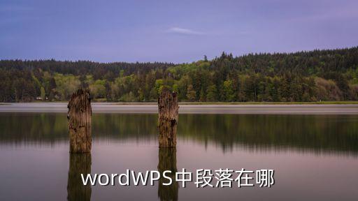 wps段落在哪，wordWPS中段落在哪