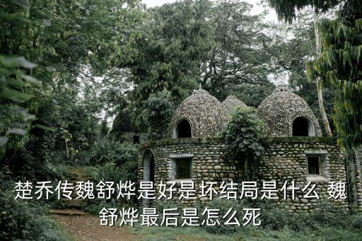 楚喬傳魏舒燁是好是壞結局是什么 魏舒燁最后是怎么死