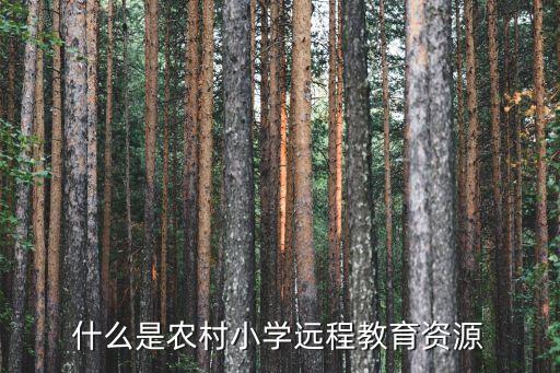 農村小學，何謂農村小學