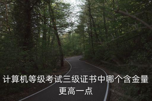 計(jì)算機(jī)等級(jí)考試三級(jí)證書(shū)中哪個(gè)含金量更高一點(diǎn)