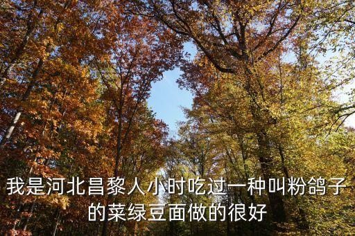 粉鴿子，我是河北昌黎人小時吃過一種叫粉鴿子的菜綠豆面做的很好