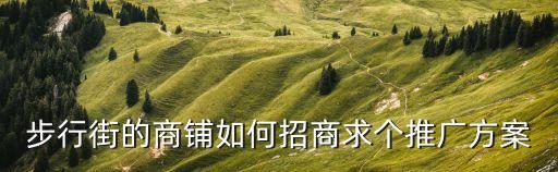 步行街的商鋪如何招商求個推廣方案