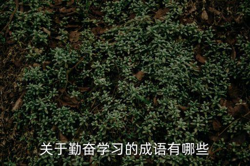 勤學的成語，有關勤學的成語
