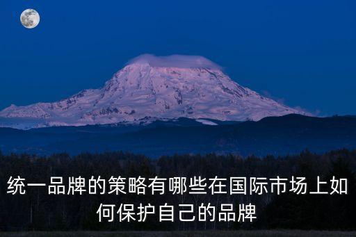 統一品牌的策略有哪些在國際市場上如何保護自己的品牌