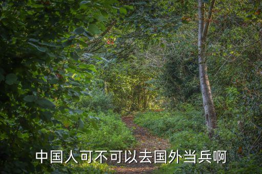 中國人可不可以去國外當兵啊