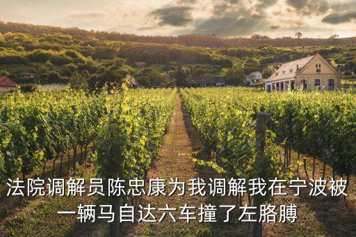 陳忠康，法院調(diào)解員陳忠康為我調(diào)解我在寧波被一輛馬自達六車撞了左胳膊