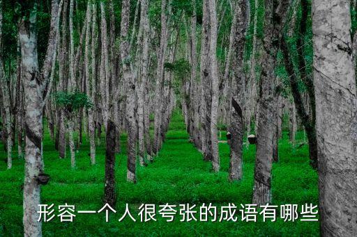 形容一個人很夸張的成語有哪些