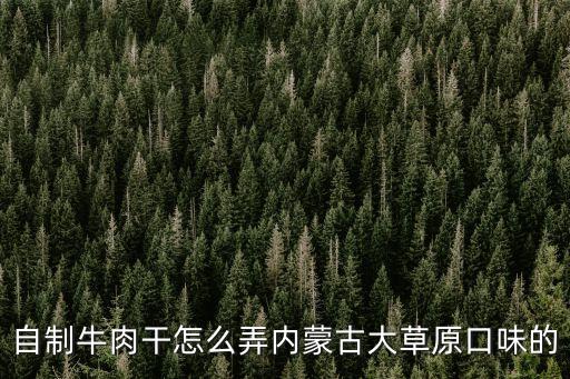 自制牛肉干怎么弄內蒙古大草原口味的