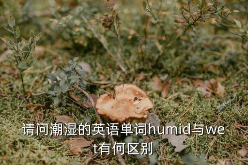 請問潮濕的英語單詞humid與wet有何區別