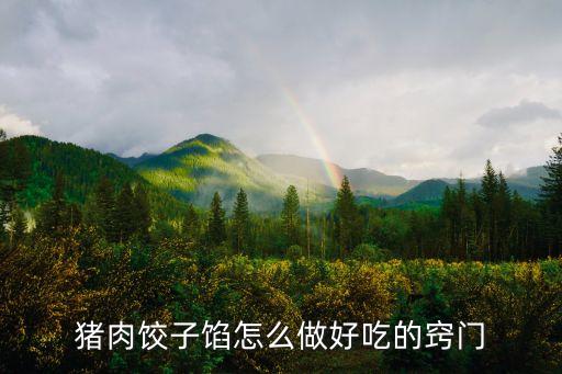 豬肉餃子餡怎么做好吃的竅門