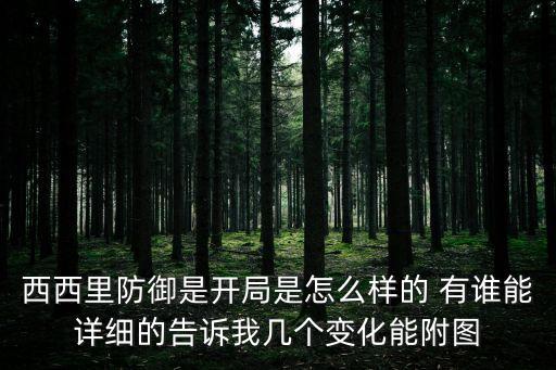 西西里防御是開局是怎么樣的 有誰能詳細的告訴我幾個變化能附圖