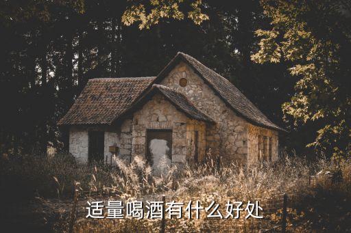 適量喝酒有什么好處