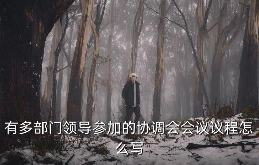 有多部門領導參加的協調會會議議程怎么寫