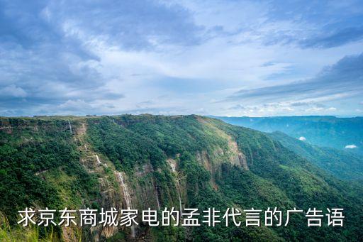求京東商城家電的孟非代言的廣告語