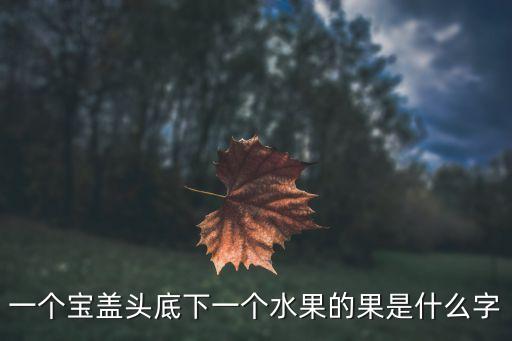 水果靜物，哪種水果適合水果盆景