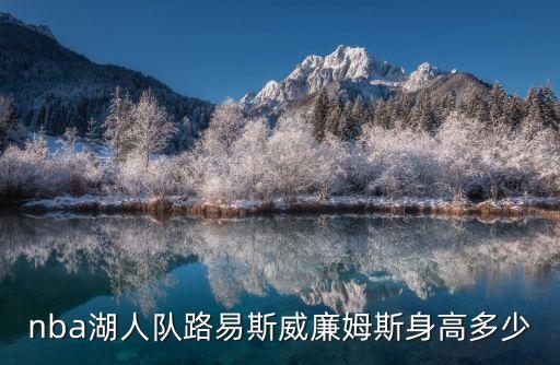 nba湖人隊路易斯威廉姆斯身高多少