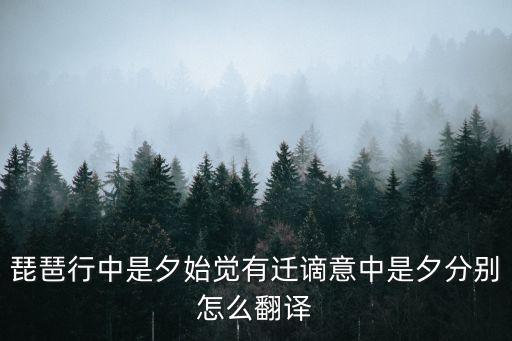 琵琶行中是夕始覺有遷謫意中是夕分別怎么翻譯