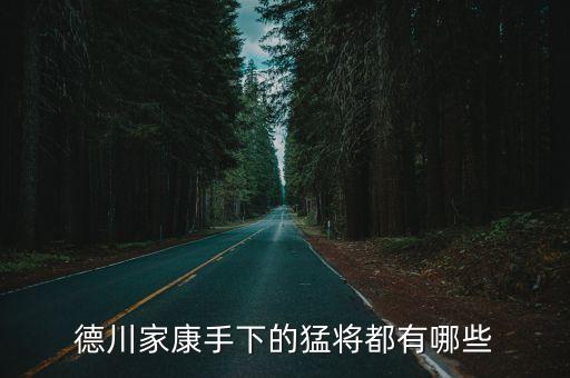 神原康政，信長野望里神原康政怎么玩