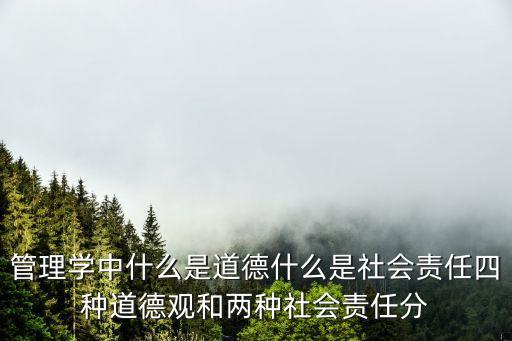 管理學中什么是道德什么是社會責任四種道德觀和兩種社會責任分