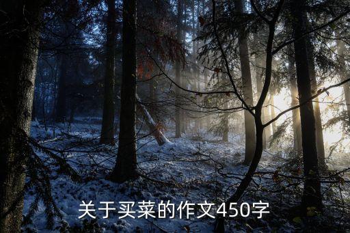 關于買菜的作文450字