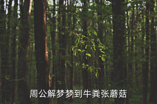 周公解夢夢到牛糞張蘑菇