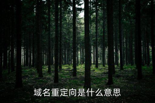 域名重定向是什么意思